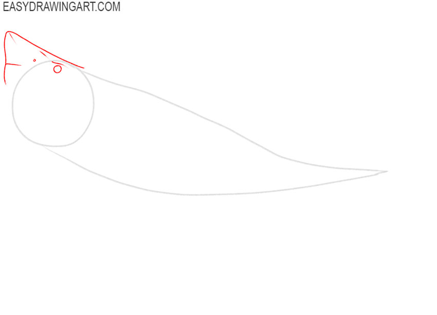 how to draw a megalodon easy