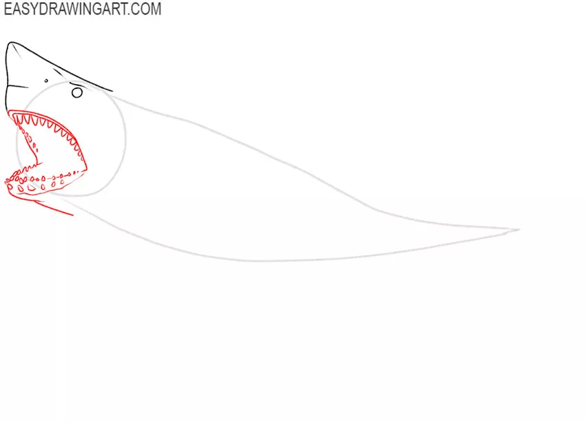 how to draw a megalodon art hub