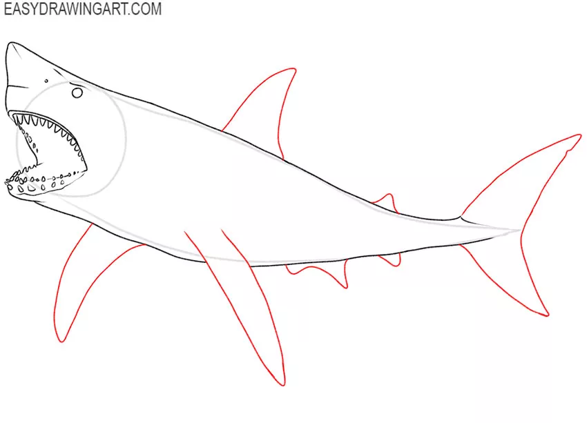 how to draw a cute megalodon