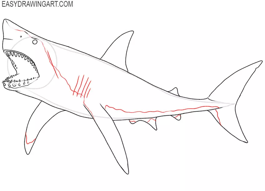 how to draw a megalodon realistic