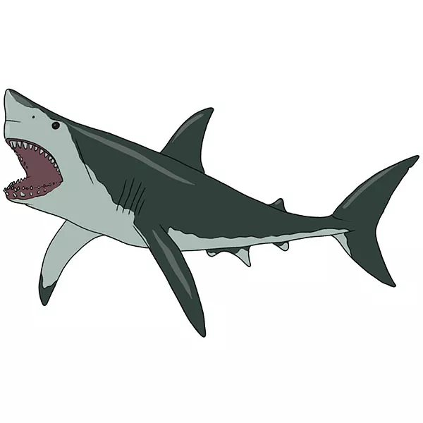 Shark monster background realistic illustration. - Stock Illustration  [55320160] - PIXTA