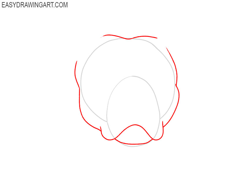 how to draw a pitbull face step by step