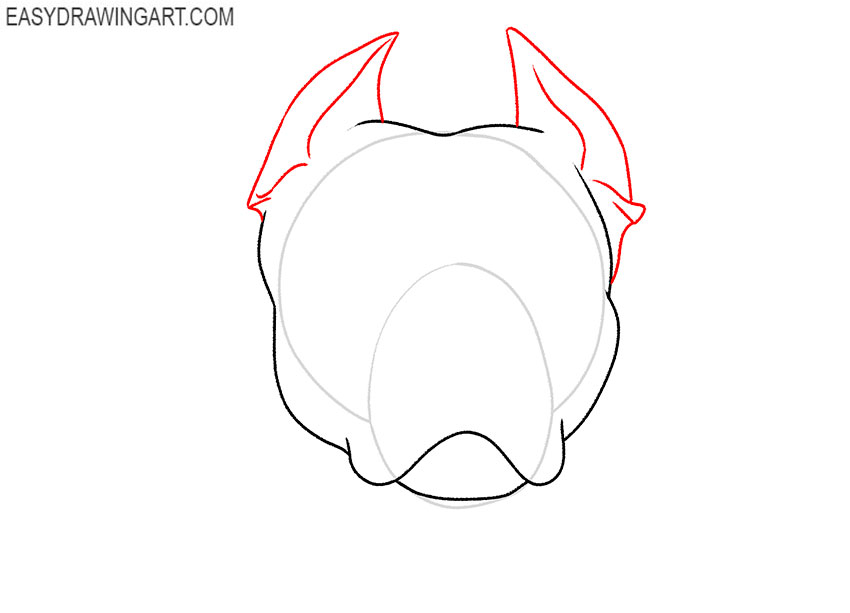 how to draw a realistic pitbull face
