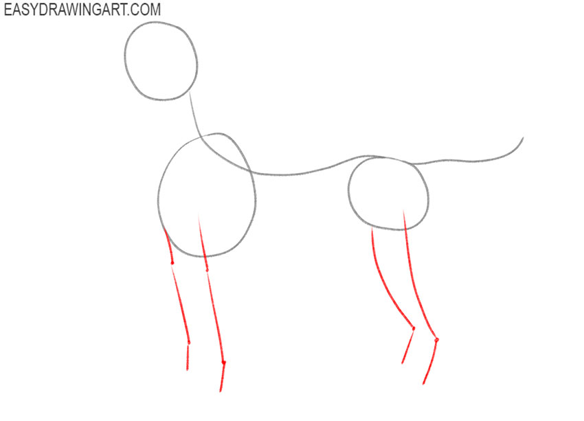 how to draw a pitbull body