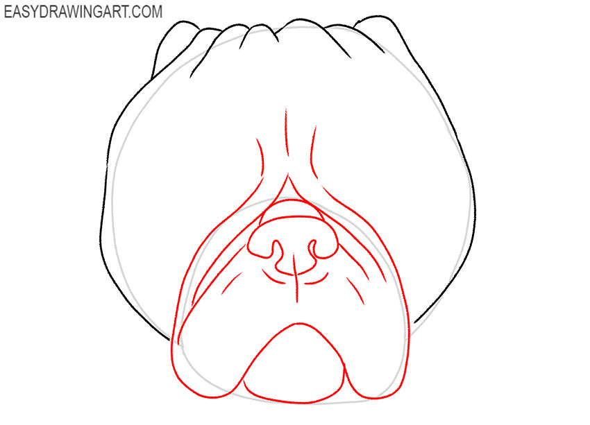 how to draw a realistic pug face step by step