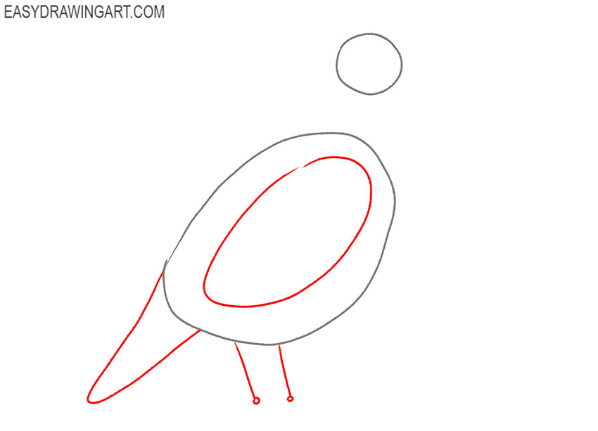 how to draw a quail step by step