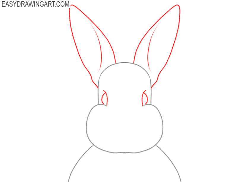 how to draw a rabbit face realistic
