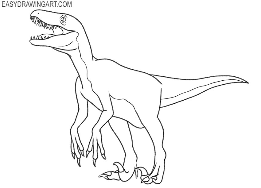 raptor drawing guide