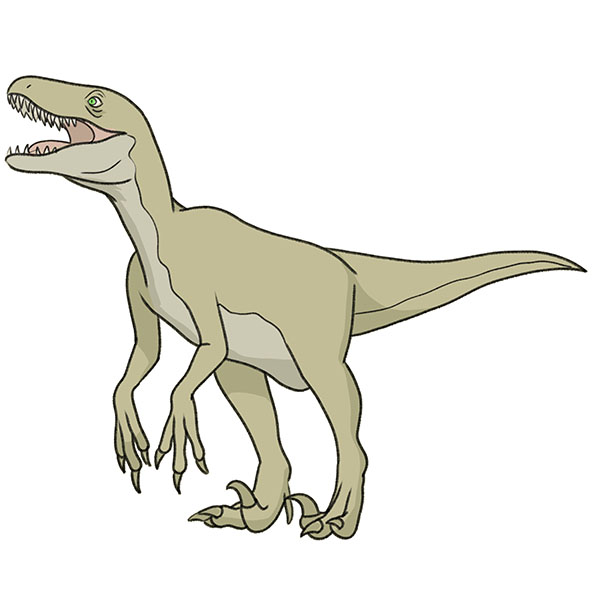 how to draw a raptor
