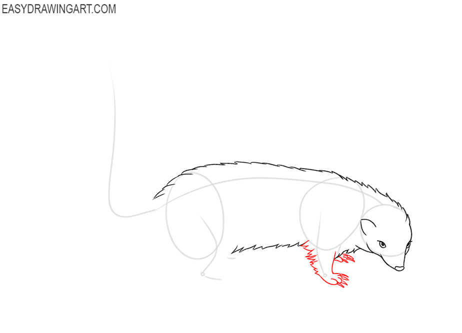 how to draw a cute skunk easy