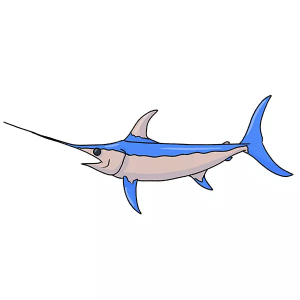 How to Draw a Swordfish
