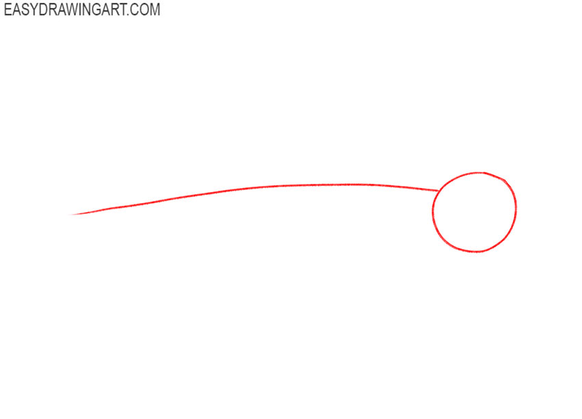 how to draw a tiger shark easy