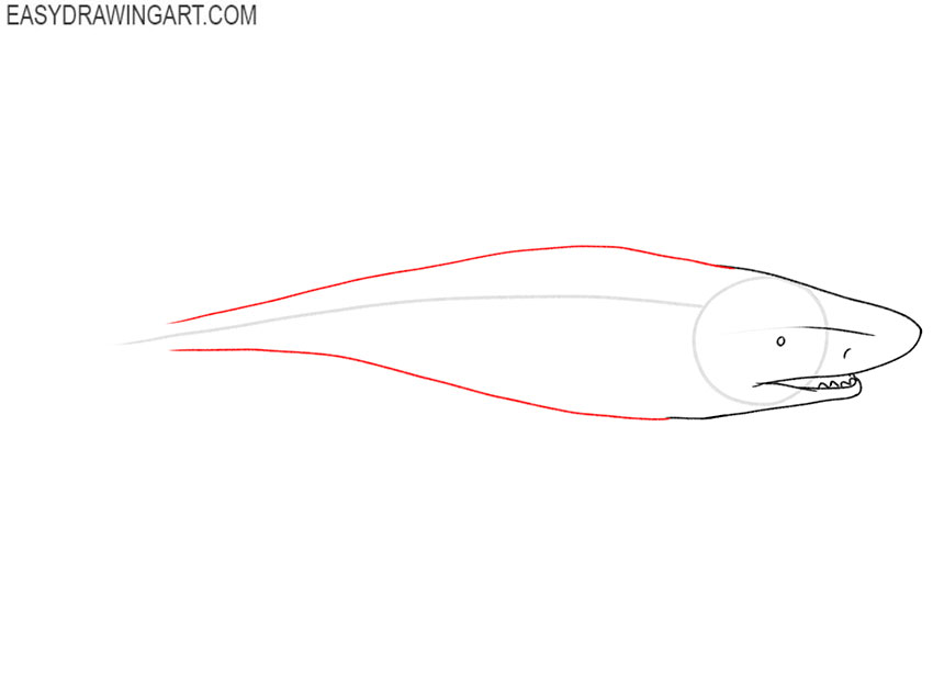 how to draw a tiger shark art hub