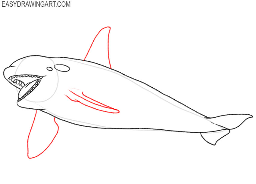 art hub how to draw an orca