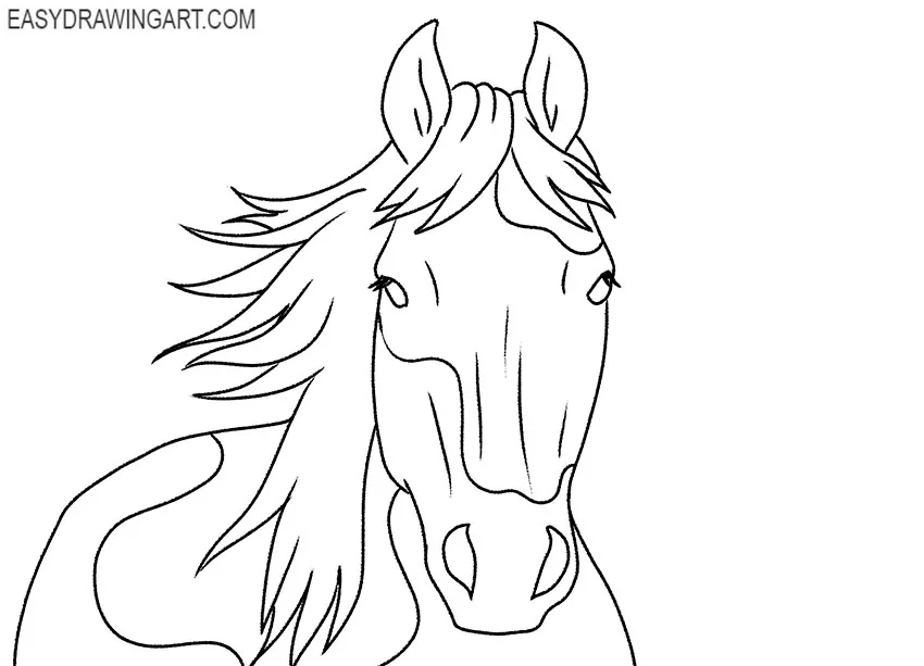 Horse Face drawing lesson