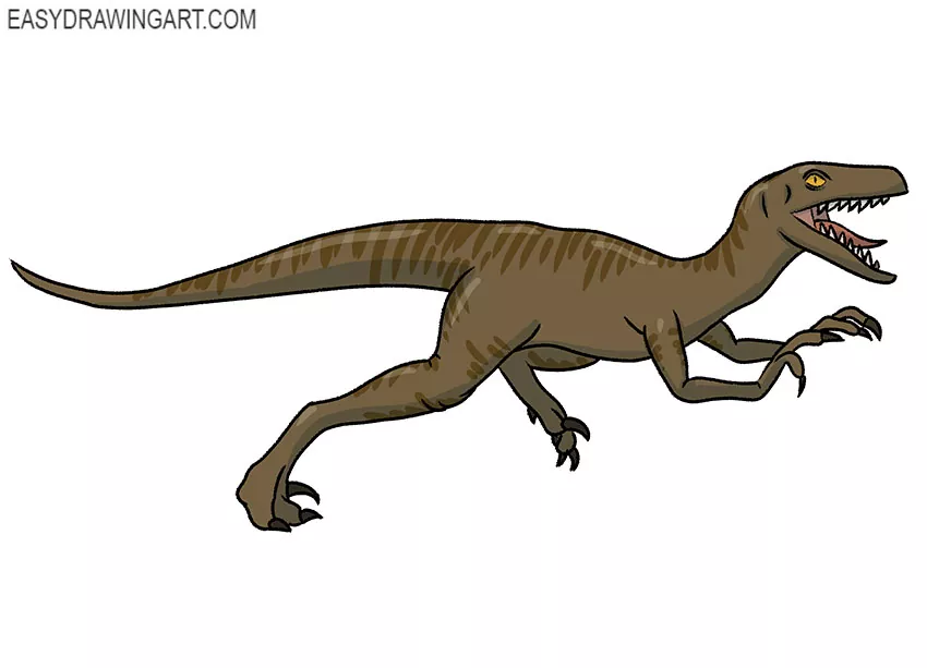 How to Draw a Velociraptor - Easy Drawing Art