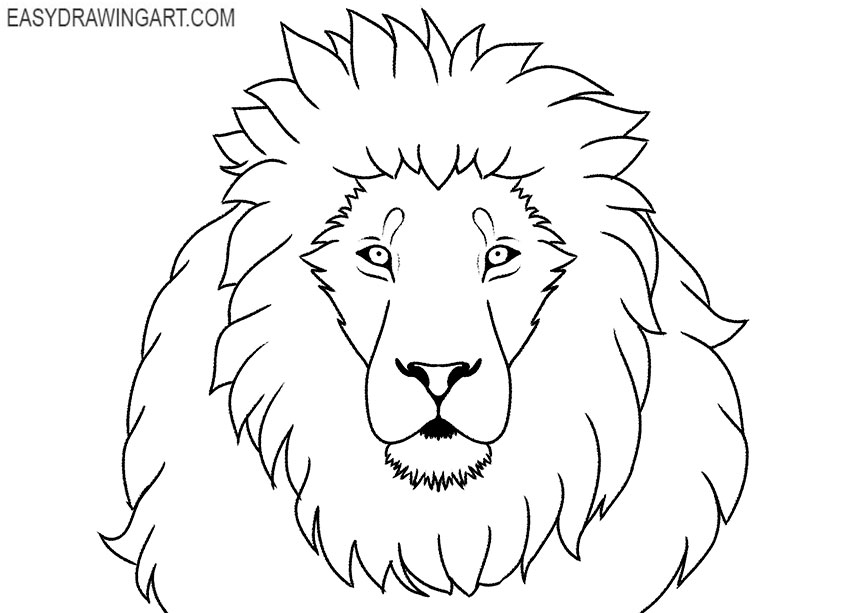 lion face drawing tutorial