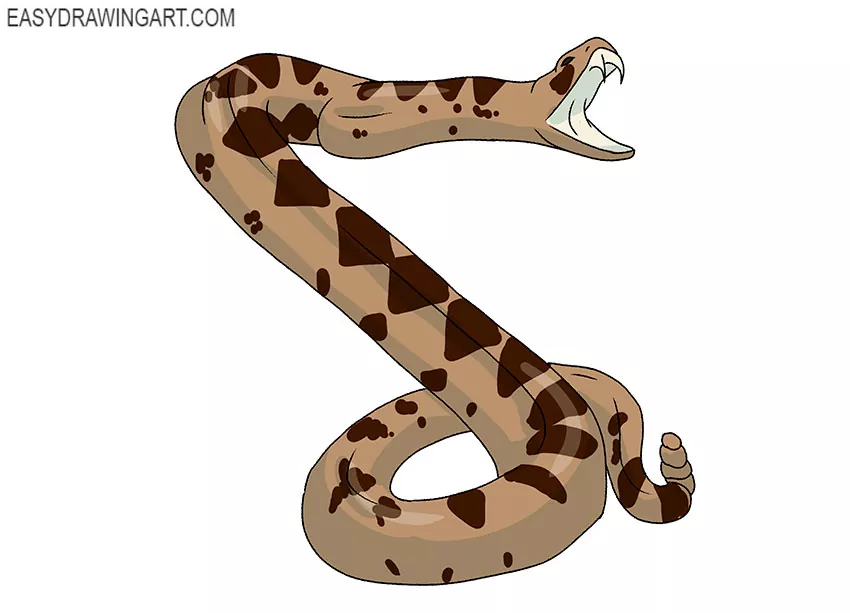  rattlesnake drawing tutorial