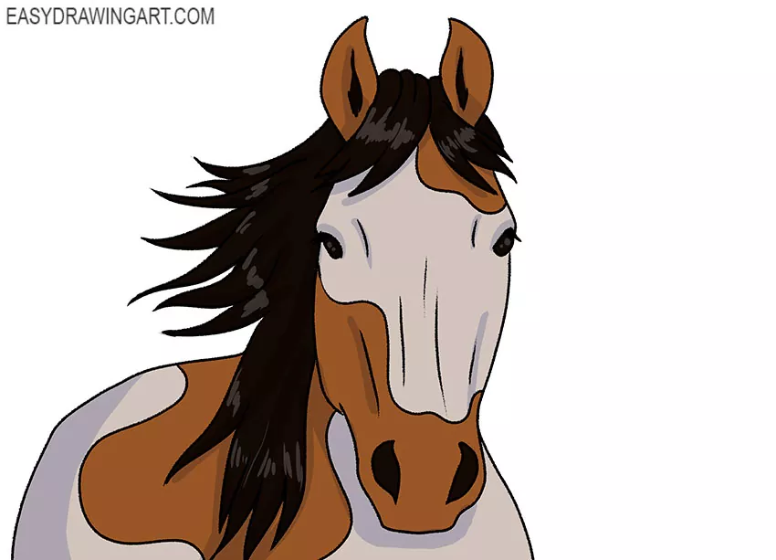  Horse Face drawing tutorial