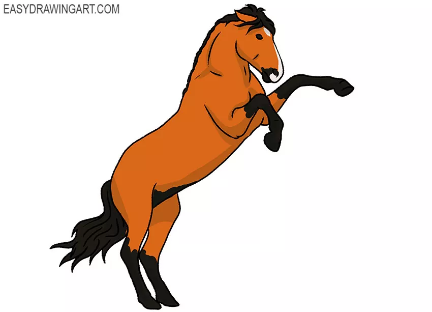  Standing Horse drawing