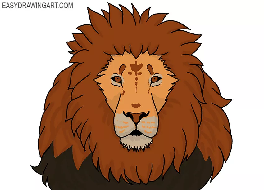 lion face drawing guide