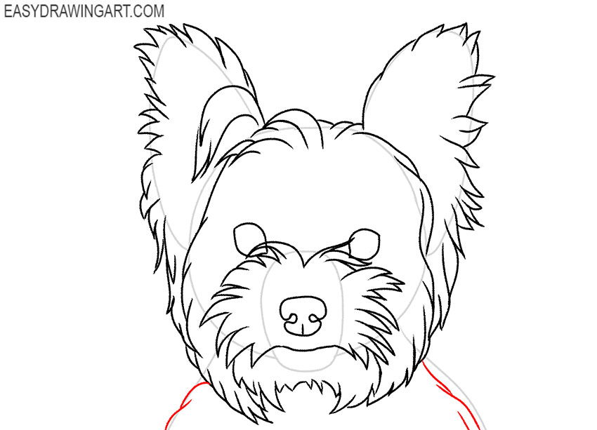 simple Yorkie Face drawing