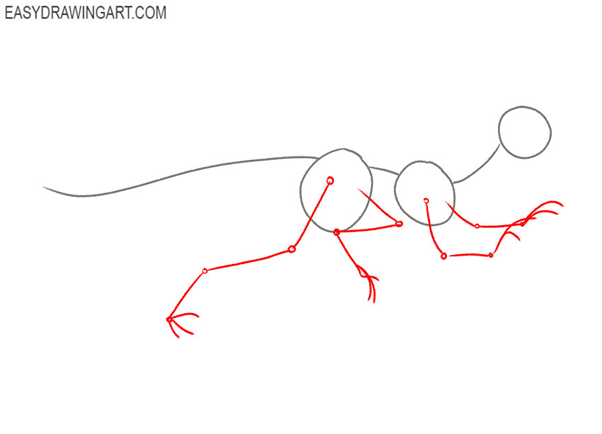 how to draw a velociraptor step by step