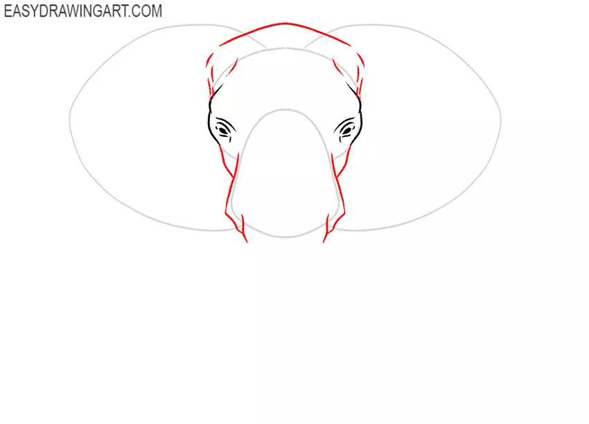 how to draw an elephant face step by step easy