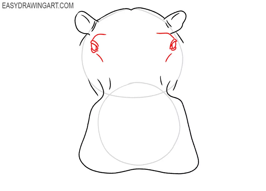 hippopotamus face drawing tutorial