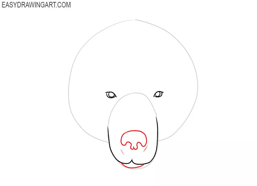 how to draw a bear face cute