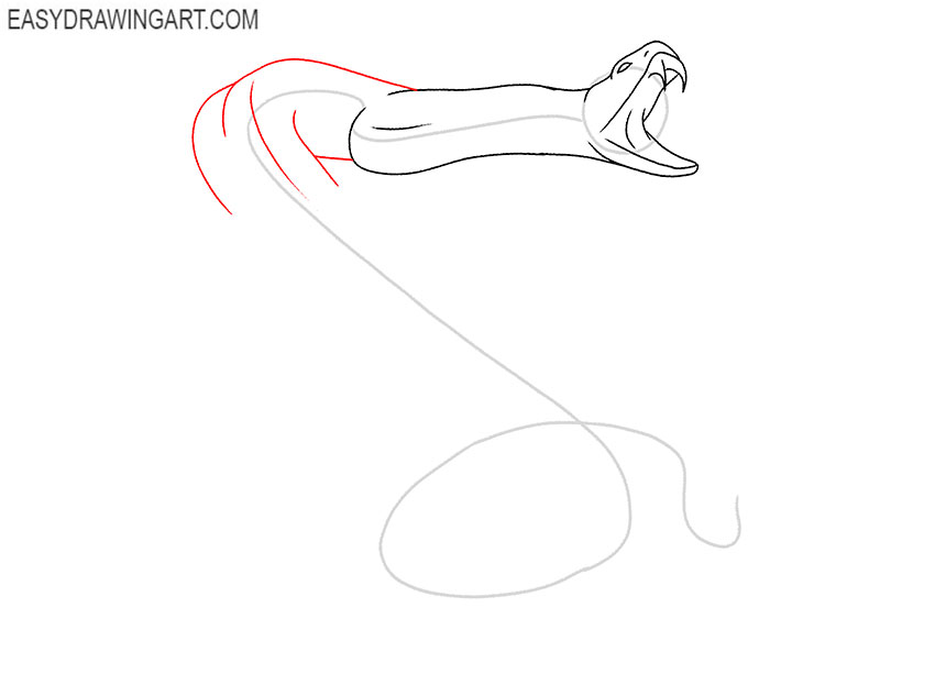 how to draw a rattlesnake easy