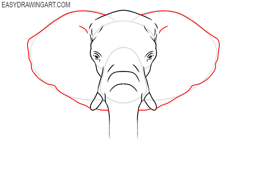 elephant head drawing side
