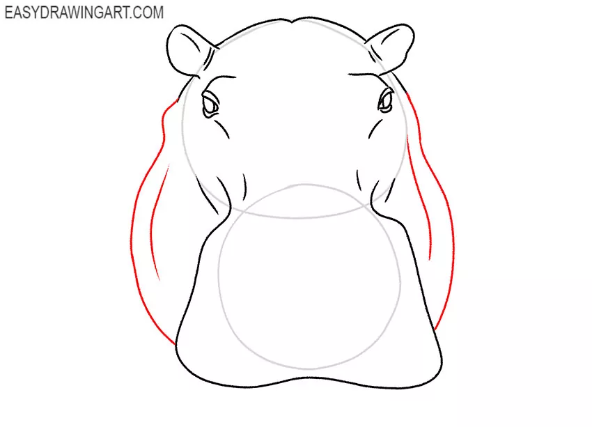 hippopotamus face drawing guide