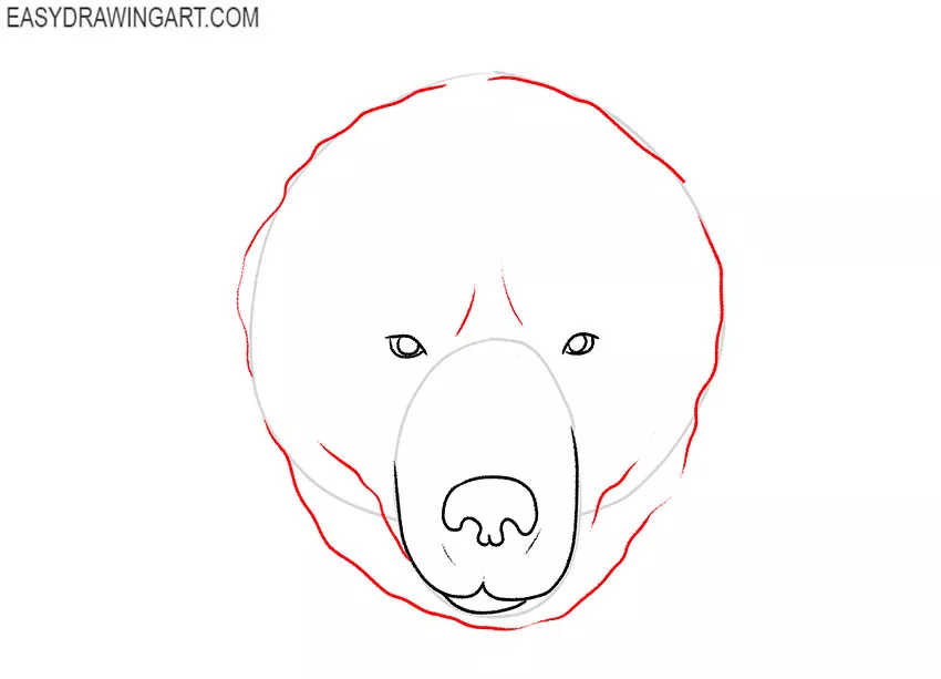 how to draw a bear face step by step easy