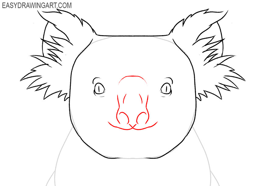 how to draw a koala for kindergarten