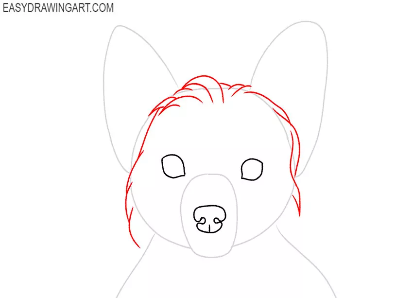 how to draw a yorkie puppy