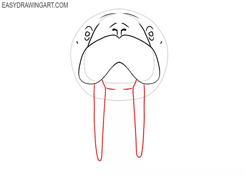 walrus face drawing lesson