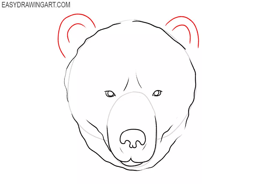 how to draw a bear face cartoon step by step