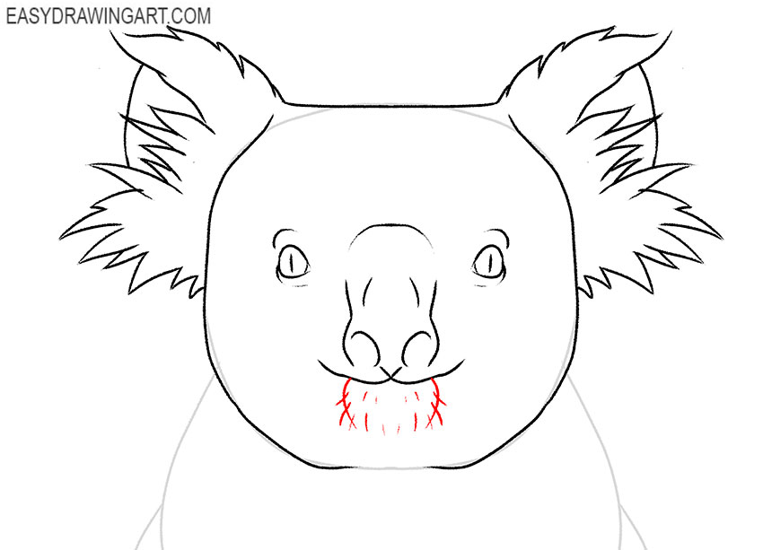 how to draw a koala realistic