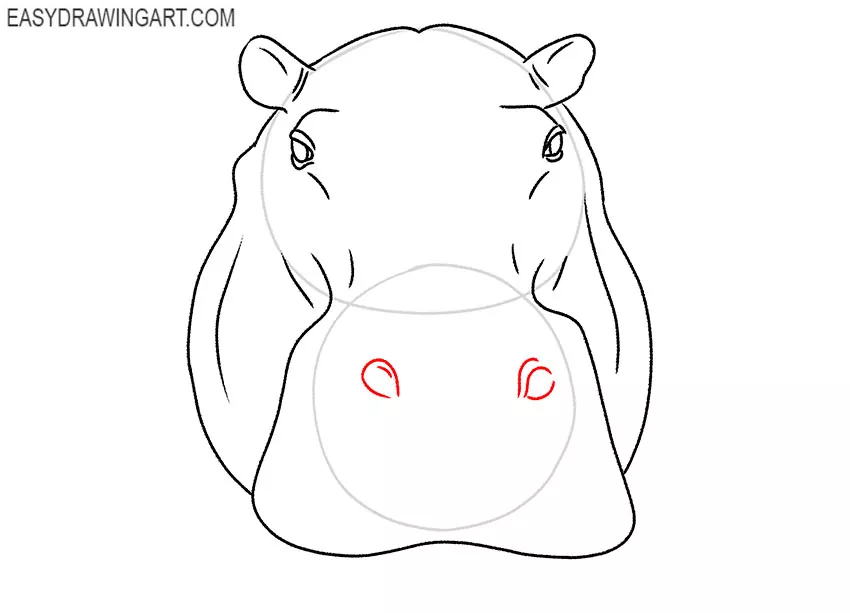 simple hippopotamus face drawing