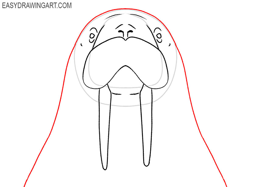 walrus face drawing tutorial