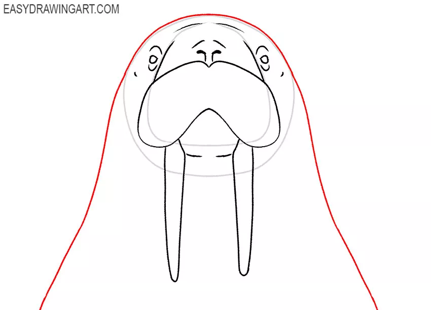walrus face drawing tutorial