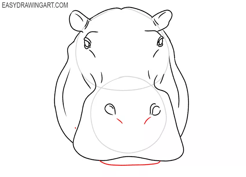 easy hippopotamus face drawing