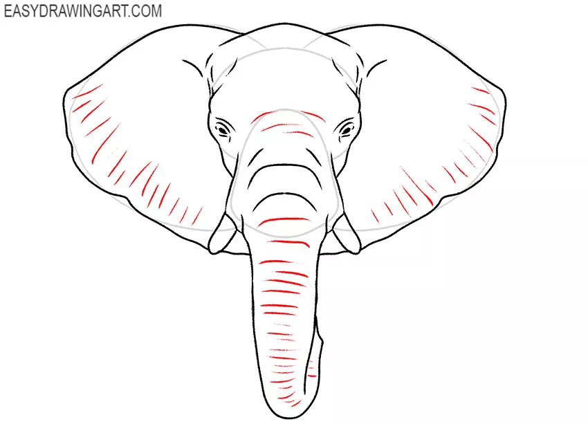 how to draw a cartoon elephant face