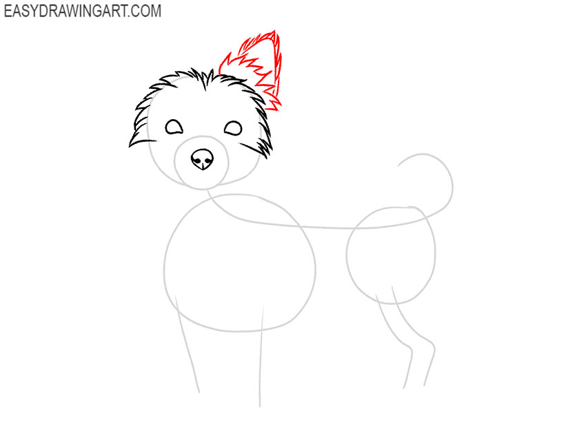 how to draw a realistic yorkie step by step