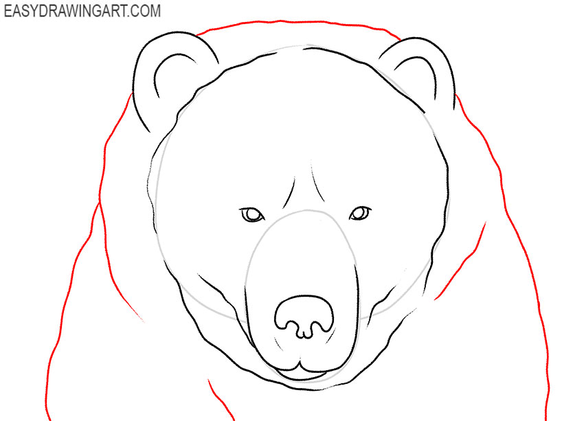 How to Draw a Polar Bear Head