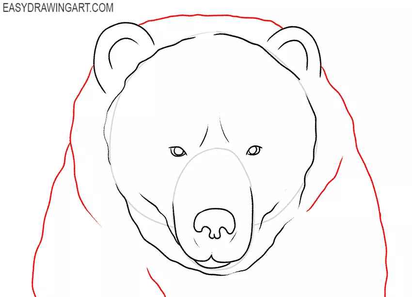 how to draw an easy bear face