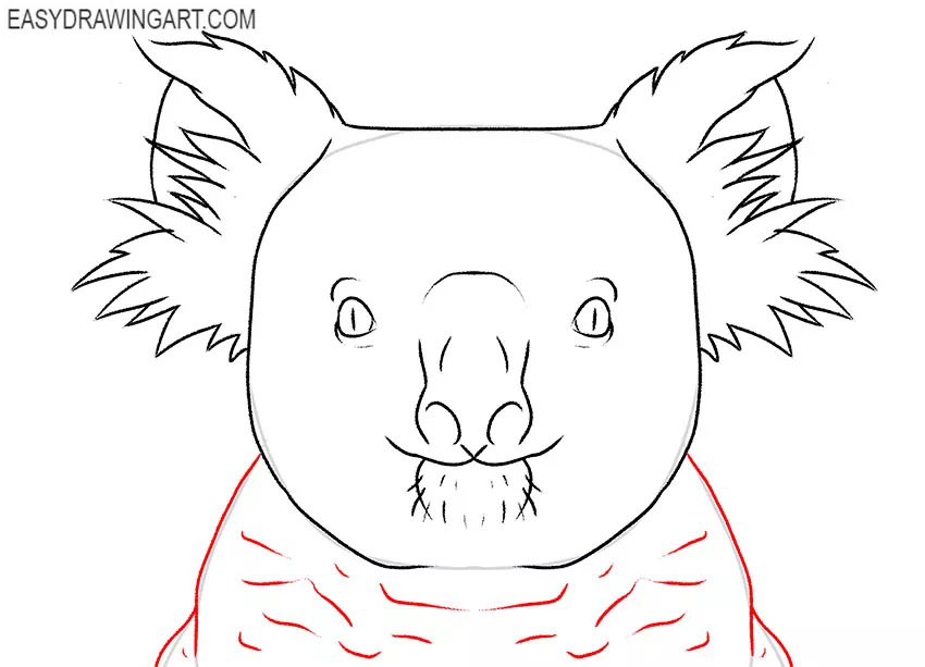 koala face drawing lesson