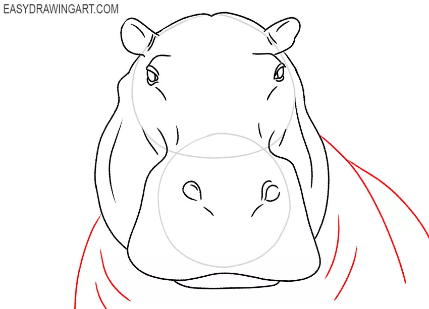 cartoon hippopotamus face drawing