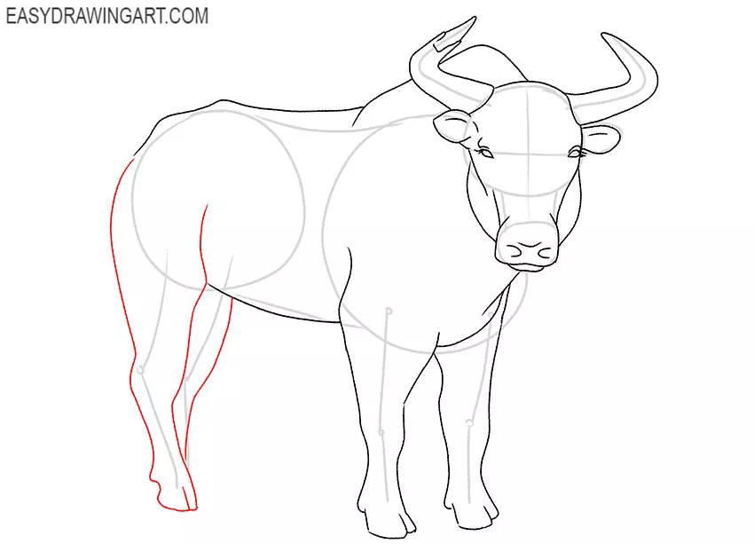 how to draw a cartoon yak